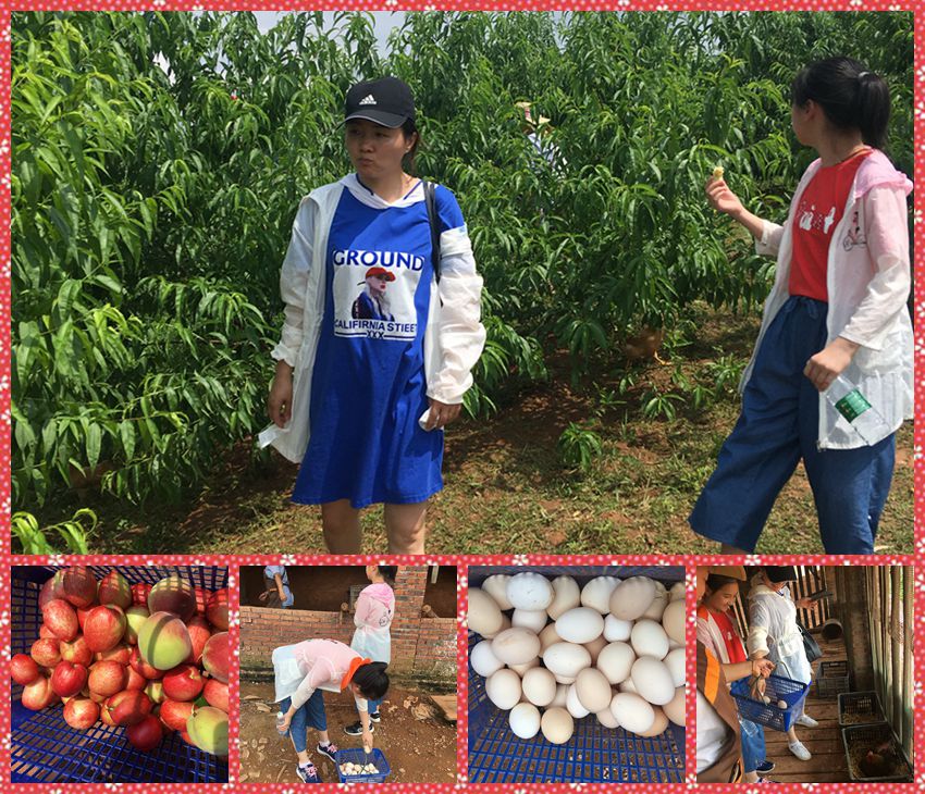 NeoImage_副本.jpg NeoImage_副本.jpg