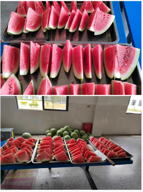 夏季高温防暑预防篇