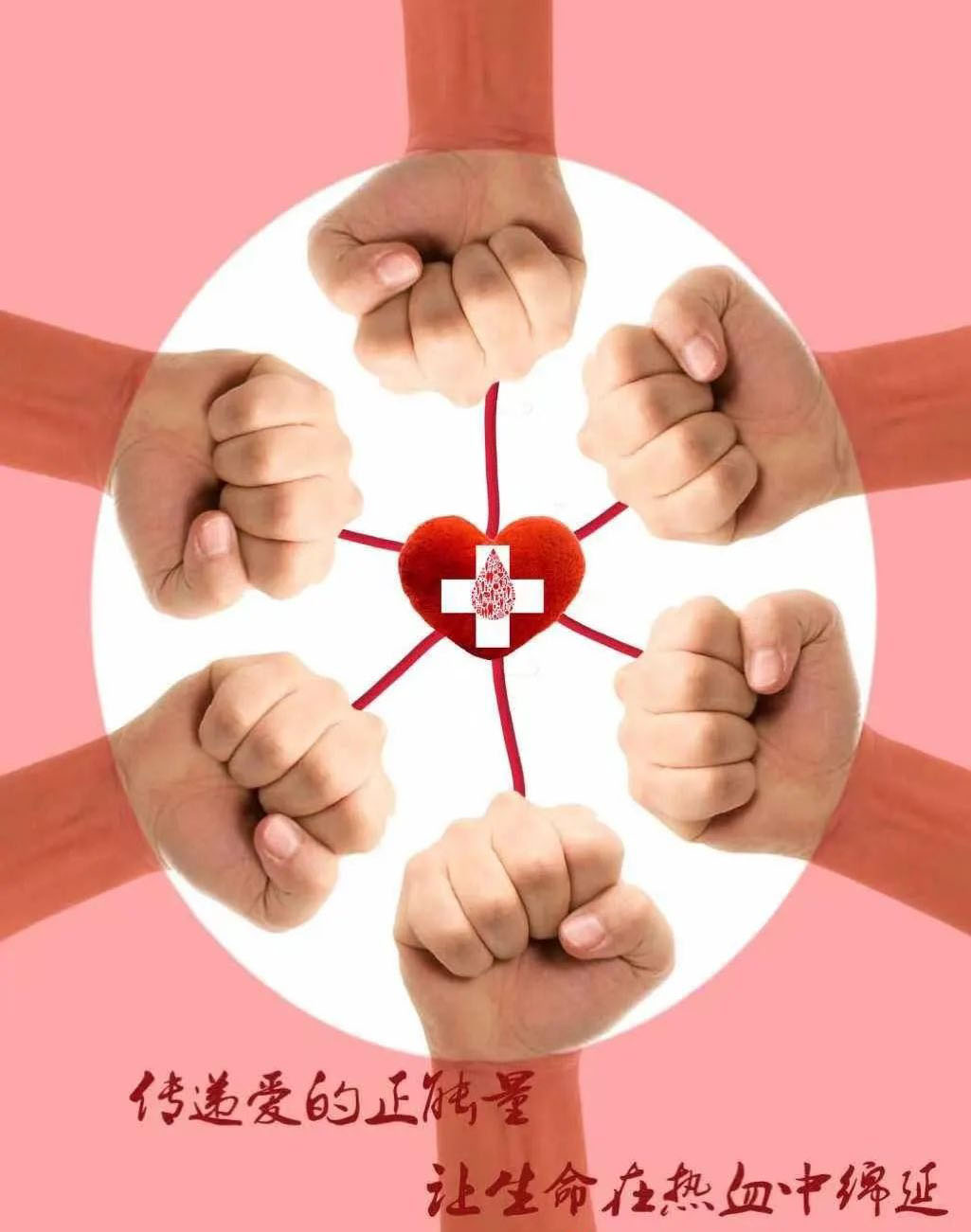 热血献爱心 生命助续航